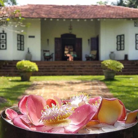 Templeberg Bed & Breakfast Walahanduwa Exterior photo