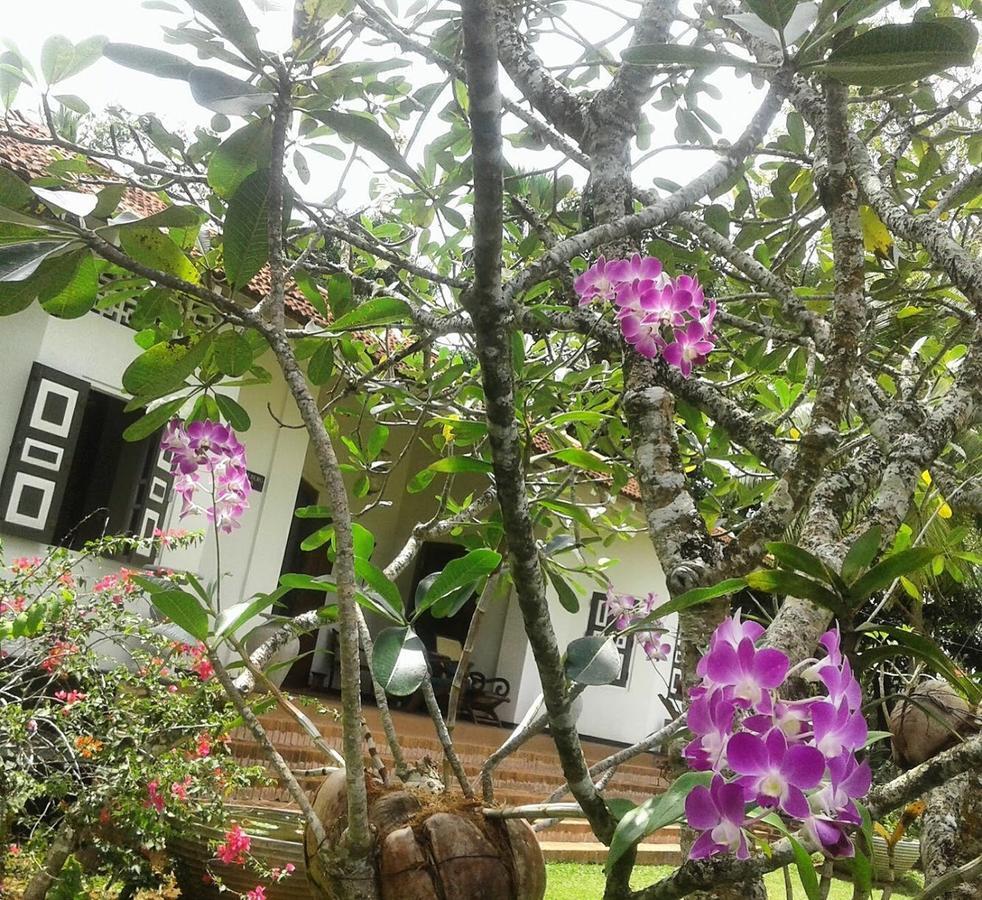 Templeberg Bed & Breakfast Walahanduwa Exterior photo