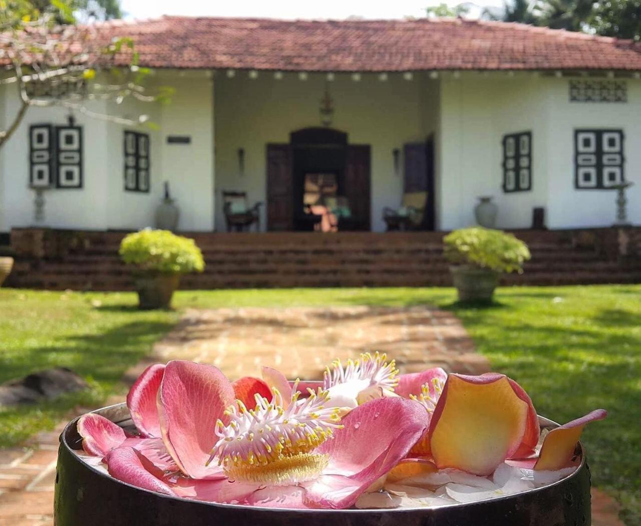 Templeberg Bed & Breakfast Walahanduwa Exterior photo