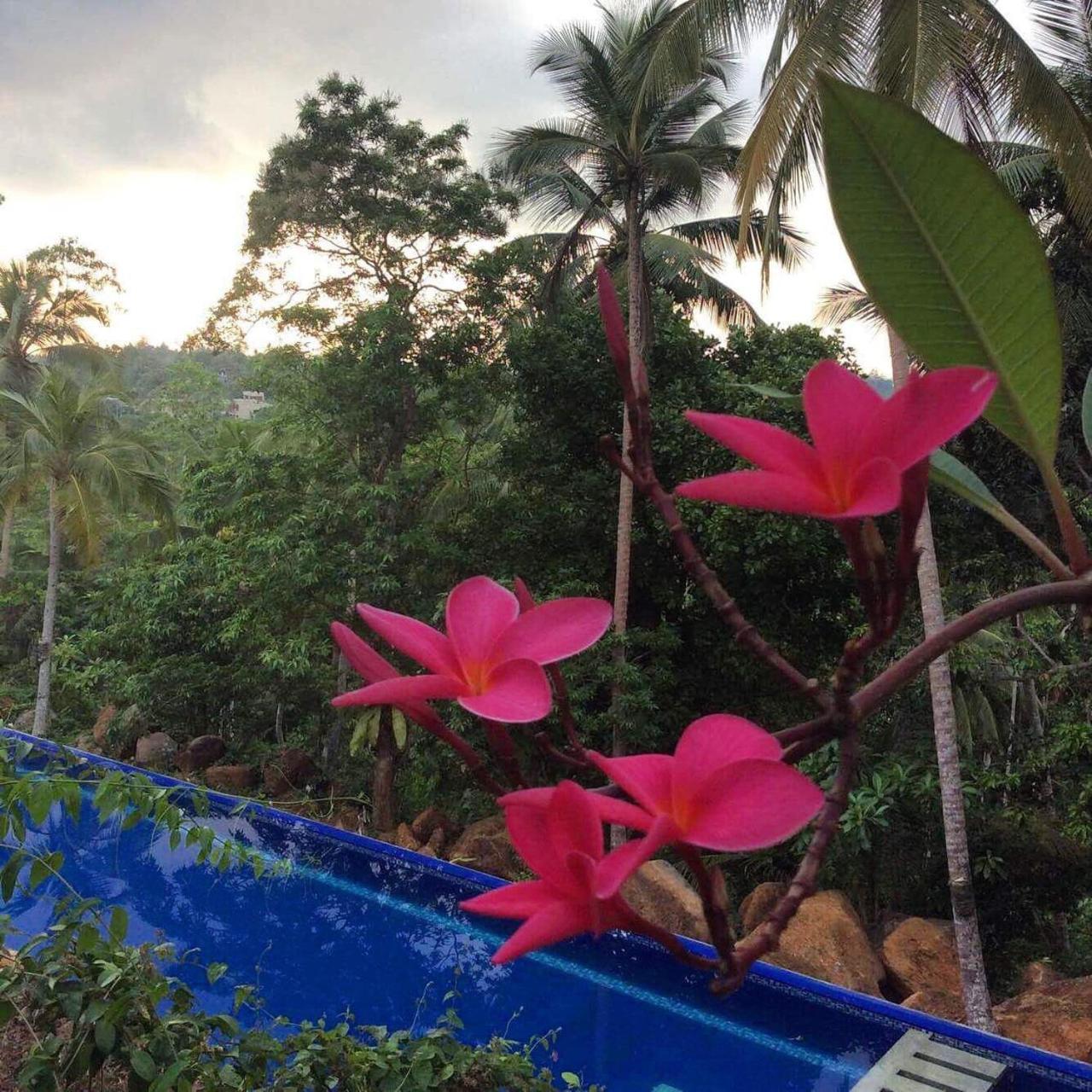 Templeberg Bed & Breakfast Walahanduwa Exterior photo